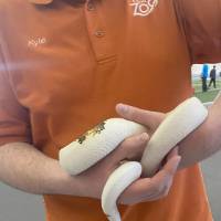 John Ball Zoo - Exhibition Hall